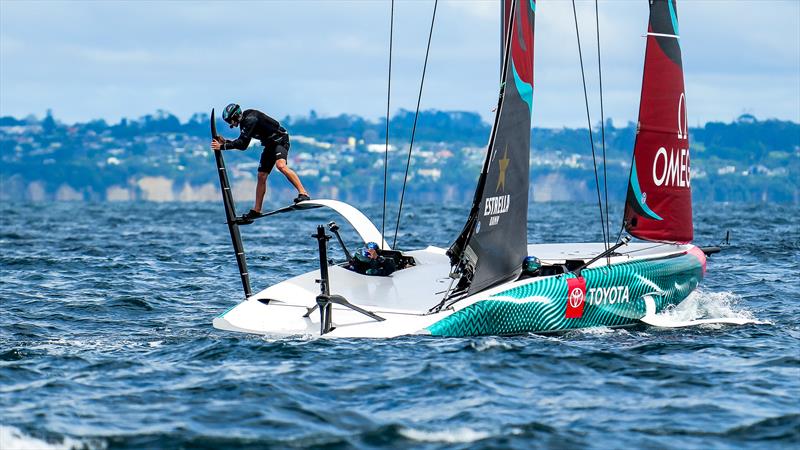 Emirates Team New Zealand - AC40 - Day 67 - February 27, 2024 - Waitemata Harbour/Hauraki Gulf - photo © Sam Thom/America's Cup