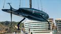 © Ugo Fonolla / America's Cup