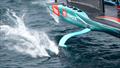 © Ricardo Pinto / America's Cup