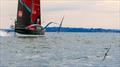 &copy; Sam Thom / America's Cup