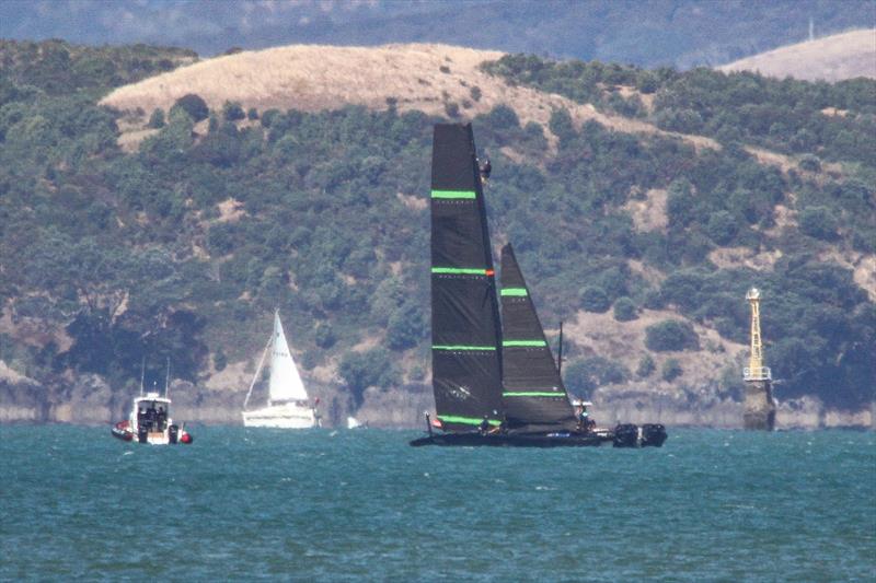 A man up the mast  - Te Kahu - Emirates Team NZ's test boat - Waitemata Harbour - February 11, 2020 - photo © Richard Gladwell / Sail-World.com