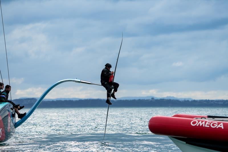 Taihoro - AC75 - Day 14 - America's Cup Recon - Emirates Team New Zealand June 4, 2026 - photo © Sam Thom/America's Cup