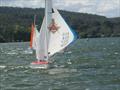 2018 ACT Hansa Regatta on Lake Burley Griffin © Matthew Owen