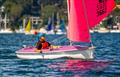 © Alex Dare / Hansa Worlds