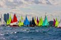 303 fleet - Hansa European Championships in Barcelona &copy; Nicola Durston