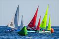 Hansa European Championships in Barcelona &copy; Oscar Torveo / KAKAPO
