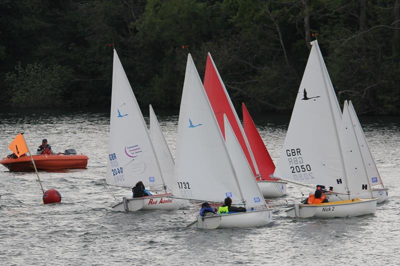 Hansa Class Traveller Series at Wealden Sailability, Chipstead photo copyright Bob Fisher taken at Chipstead Sailing Club and featuring the Hansa class