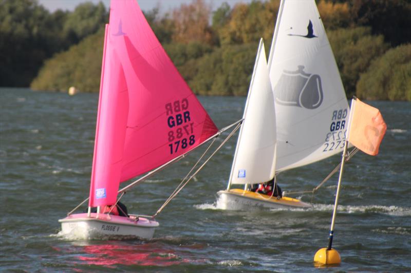 303s racing in the 10th Hansa TT at The Woolverstone Project, Alton Water photo copyright David Durston taken at Alton Water Sports Centre and featuring the Hansa class