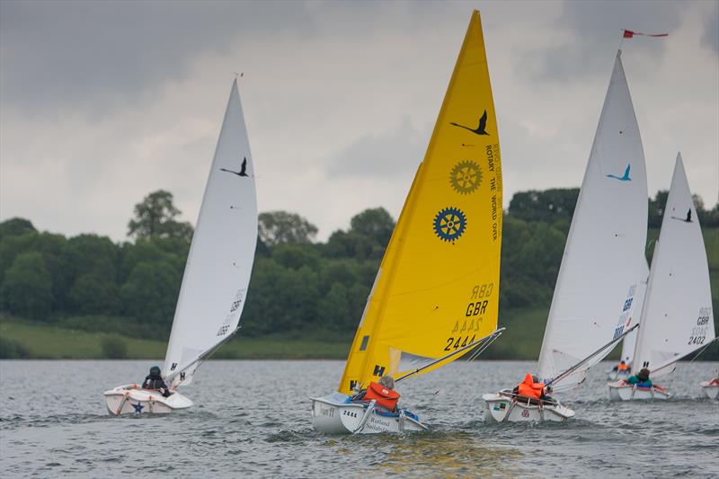 Hansa Grand Prix and Traveller Series at Carsington photo copyright Mark Ludbrook taken at Carsington Sailing Club and featuring the Hansa class