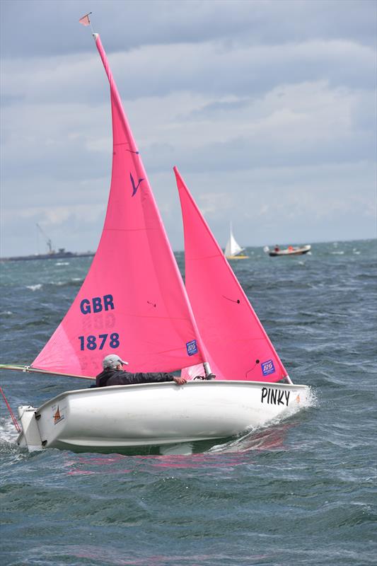 Hansa 303 Irish Championship at Carrickfergus photo copyright Nigel Thompson taken at Carrickfergus Sailing Club and featuring the Hansa class