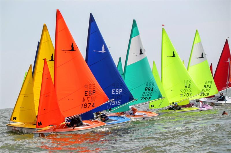 2016 Hansa Worlds in Medemblik - 303 fleet photo copyright Nicky Mathew taken at Regatta Center Medemblik and featuring the Hansa class