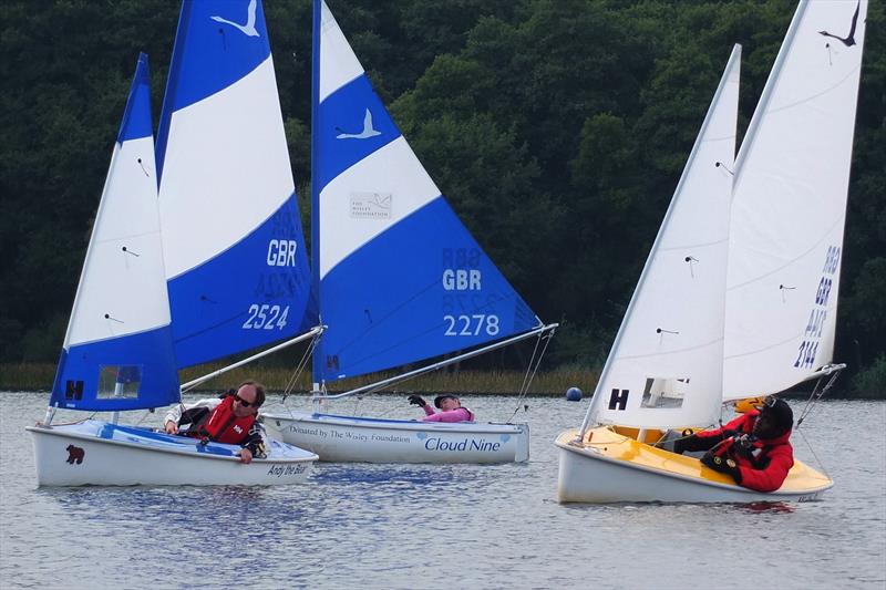 303 fleet during the Hansa TT at Frensham photo copyright Tony Machen taken at Frensham Pond Sailing Club and featuring the Hansa class