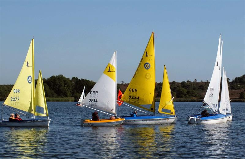 2019 Hansa National TT Series Round 10 at Frensham Pond photo copyright Tony Machen taken at Frensham Pond Sailing Club and featuring the Hansa class