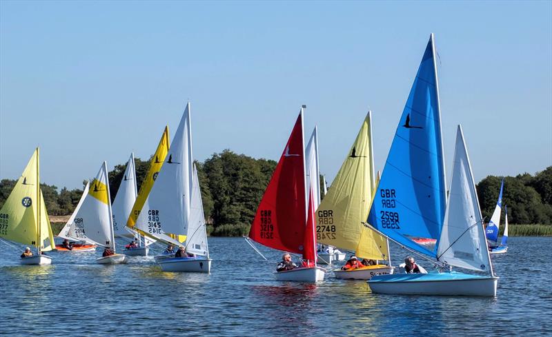 2019 Hansa National TT Series Round 10 at Frensham Pond photo copyright Tony Machen taken at Frensham Pond Sailing Club and featuring the Hansa class