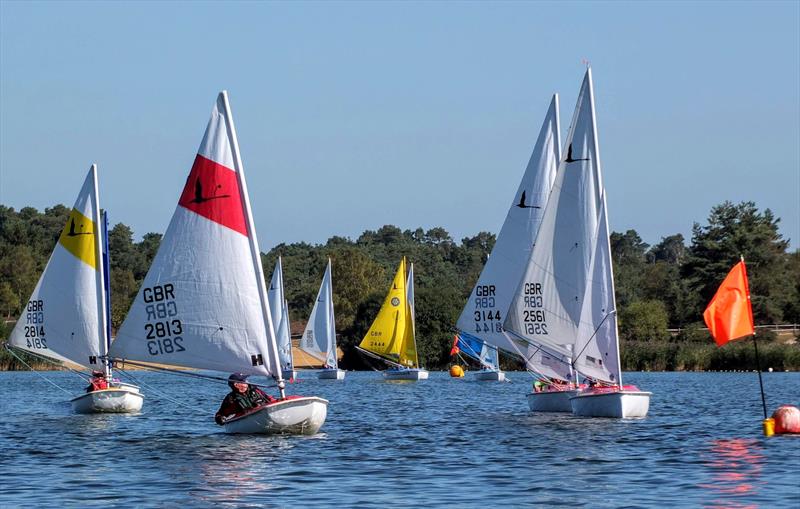 2019 Hansa National TT Series Round 10 at Frensham Pond - photo © Tony Machen