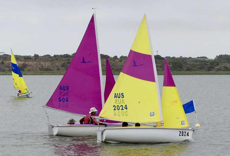 Racing included four short races for Sailability - Goolwa Regatta Week 2018 photo copyright Cass Schlimbach taken at Goolwa Regatta Yacht Club and featuring the Hansa class
