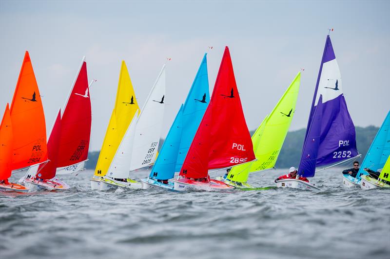 Eurosaf Para Sailing European Championship during Kieler Woche (Hansa 303 fleet) photo copyright Sascha Klahn / Kiel Week taken at Kieler Yacht Club and featuring the Hansa class