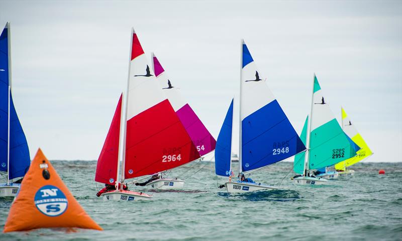  - Day 2 - Para Sailing World Championship, Sheboygan, Wisconsin, USA, September 2018 photo copyright Cate Brown taken at  and featuring the Hansa class