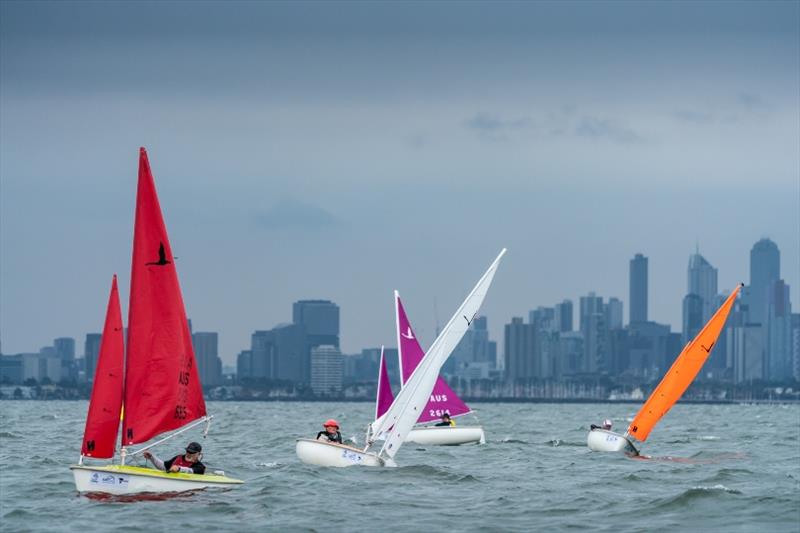 Hansa fleet - 2018 Sail Melbourne International, Day 2 - photo © Beau Outteridge