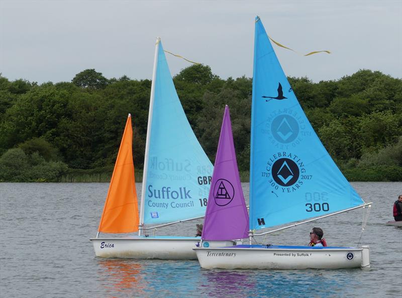 7th Antigua Sailing Day Regatta at St Edmundsbury photo copyright Mike Steele taken at St Edmundsbury Sailing & Canoeing Association and featuring the Hansa class