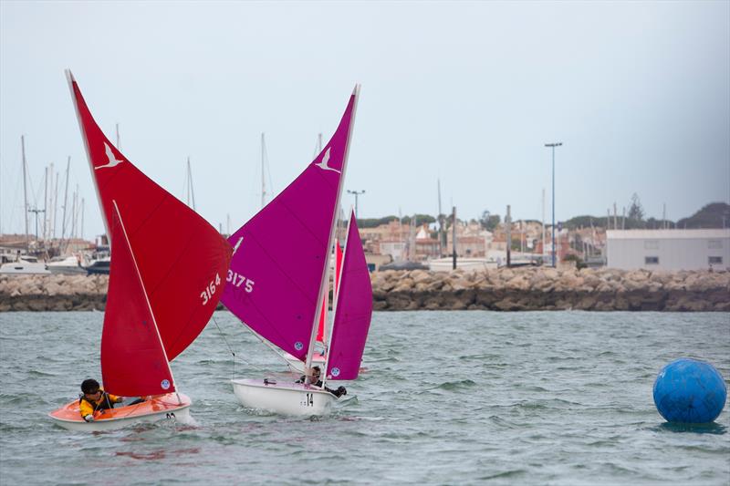 Hansa 303 Men's racing on day 4 of the Para World Sailing Championships photo copyright Miguel Paez taken at  and featuring the Hansa class