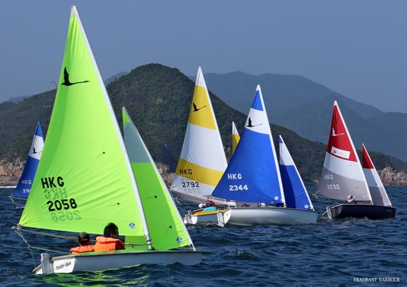 SHK Scallywag's Sun Fish leads off line - Open Dinghy Regatta, Day 1 photo copyright Fragrant Harbour taken at Hebe Haven Yacht Club and featuring the Hansa class