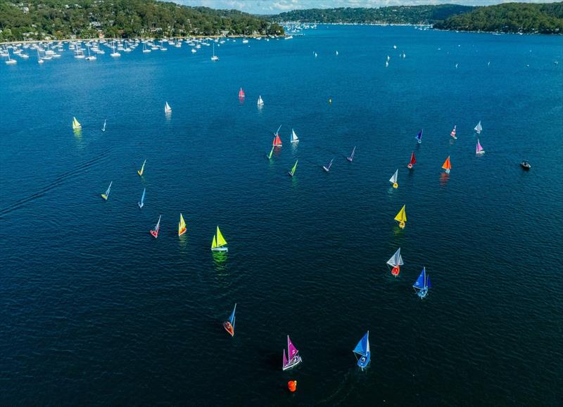 The Hansa Worlds are making a pretty sight on Pittwater - 2025 Hansa and Para World Championships day 2 - photo © Alex Dare / Hansa Worlds