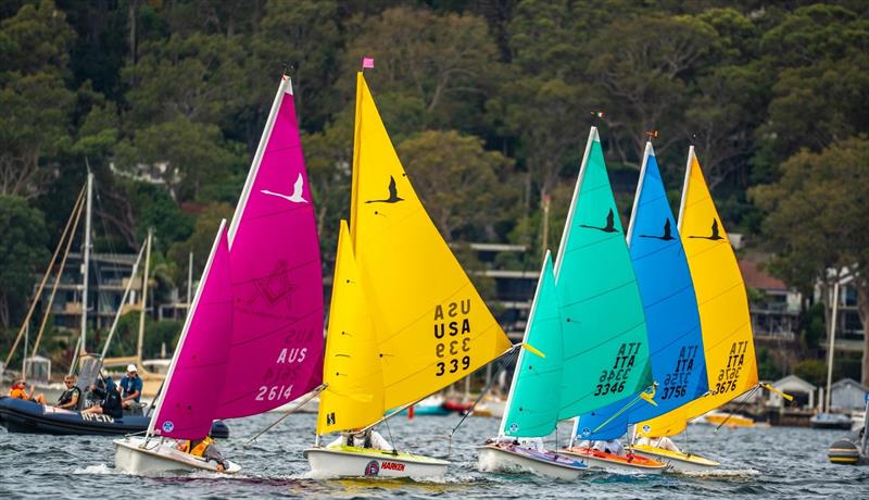 Gerda Lambeck keeping a few internationals at bay on Friday - 2025 Hansa and Para World Championships photo copyright Alex Dare, Hansa Worlds taken at Royal Prince Alfred Yacht Club and featuring the Hansa class