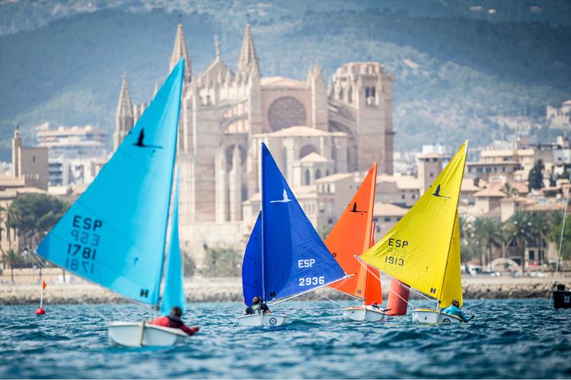 The Hansa 303 fleet competing in front of Palma Cathedral during the PalmaVela regatta photo copyright SailingShots / PalmaVela / RCNP taken at Real Club Náutico de Palma and featuring the Hansa class