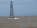 Peter Boxer during the A Class Cat Nationals at Clacton © Larry Foxon