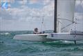 PredictWind A-Class Cat Worlds 2025 Day 4 - French Ace Emmanuel Dode enjoys his full on sailing day