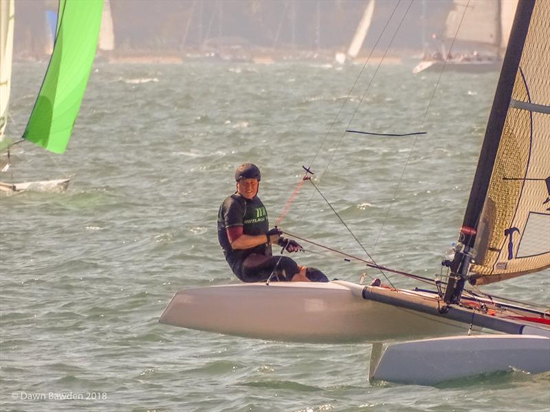 A Class cats during the Stokes Bay Cat Open - photo © Dawn Bawden