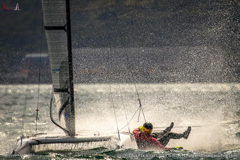 SailGP China Team skipper Phil Robertson (NZL) goes for a spin during the A Class Cat Worlds at the WPNSA - photo © Gordon Upton / www.guppypix.com