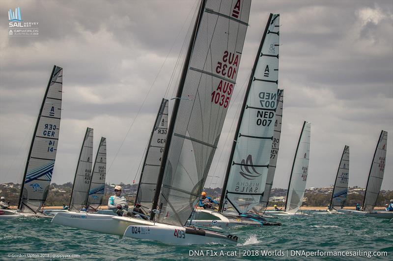 David Brewer -  Int A-Cat Worlds - Day 2 - Hervey Bay, Queensland - November 19, 2018 photo copyright Gordon Upton / www.guppypix.com taken at Hervey Bay Sailing Club and featuring the A Class Catamaran class