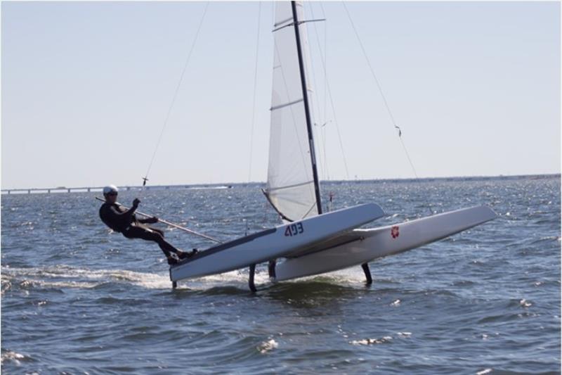 A-Class Admiral's Cup and North American Championship photo copyright Suzie Domagala taken at Pensacola Yacht Club and featuring the A Class Catamaran class