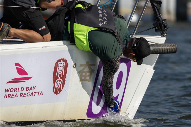 2023 World Bay Area Regatta - photo © Guy Nowell / World Bay Area Regatta