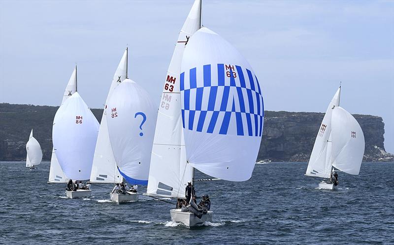 The fleet downwind on day 3 of the Adams 10 Australian Championship photo copyright Marg Fraser-Martin taken at Middle Harbour Yacht Club and featuring the Adams 10 class