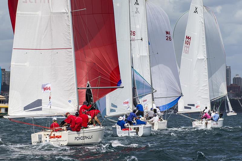 Competition could not be closer in the Adams 10 NSW Championship - 2019 Sydney Harbour Regatta - photo © Andrea Francolini