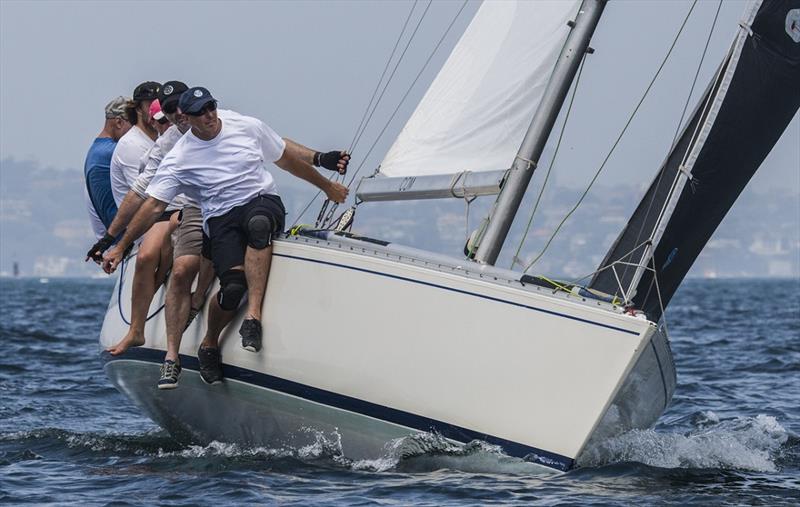 2020 Adams 10 Australian Championship photo copyright Marg Fraser-Martin taken at Middle Harbour Yacht Club and featuring the Adams 10 class