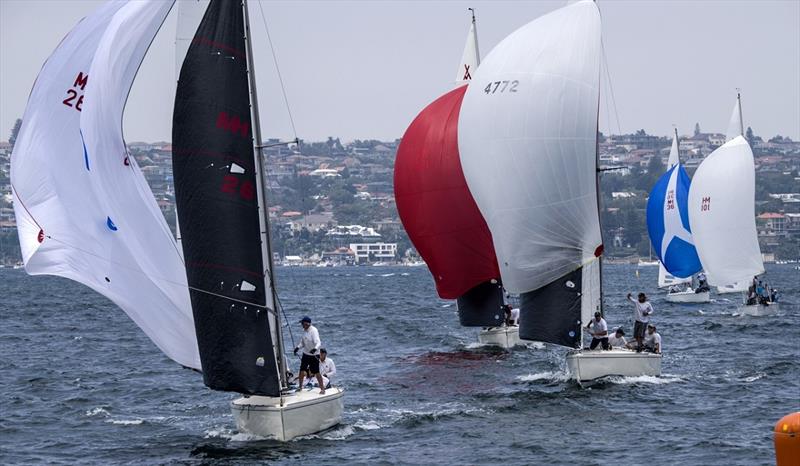 2020 Adams 10 Australian Championship - photo © Marg Fraser-Martin