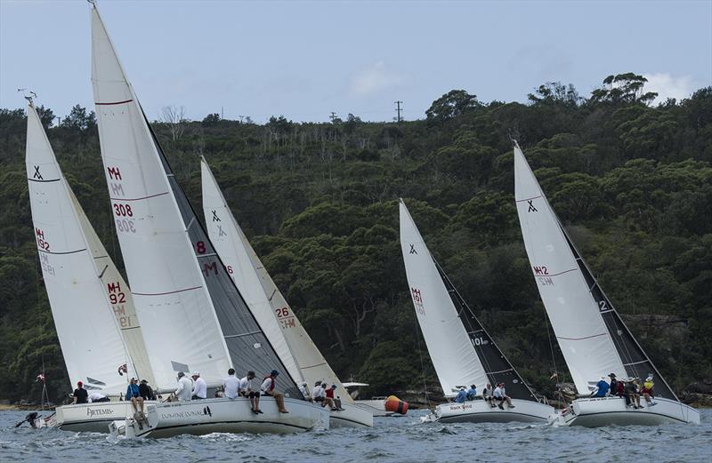 Adams 10s going hard at it last year - Sydney Harbour Regatta photo copyright Marg Fraser-Martin taken at Middle Harbour Yacht Club and featuring the Adams 10 class