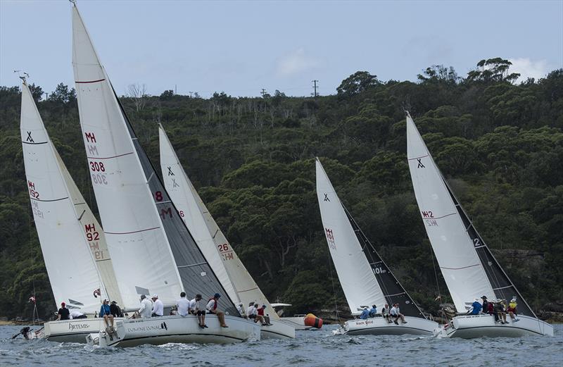 Adams 10s going hard at it last year - Sydney Harbour Regatta - photo © Marg Fraser-Martin