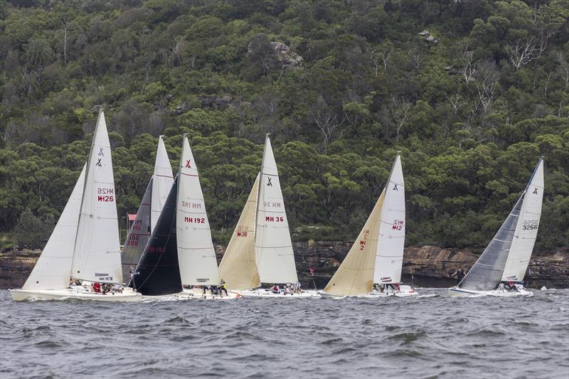 Adams 10s - an extremely competitive class at the 2022 Sydney Harbour Regatta photo copyright Andrea Francolini / MHYC taken at Middle Harbour Yacht Club and featuring the Adams 10 class