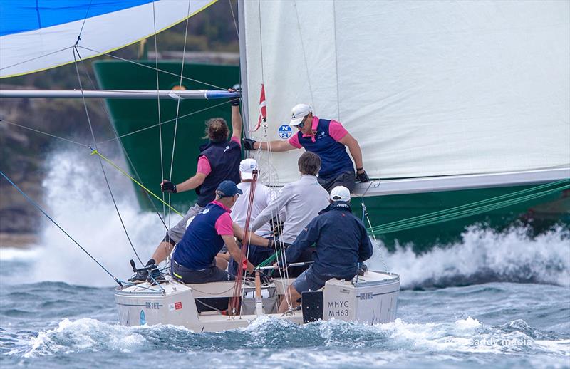 Downwind fun in Sydney Harbour photo copyright Bow Caddy Media taken at  and featuring the Adams 10 class