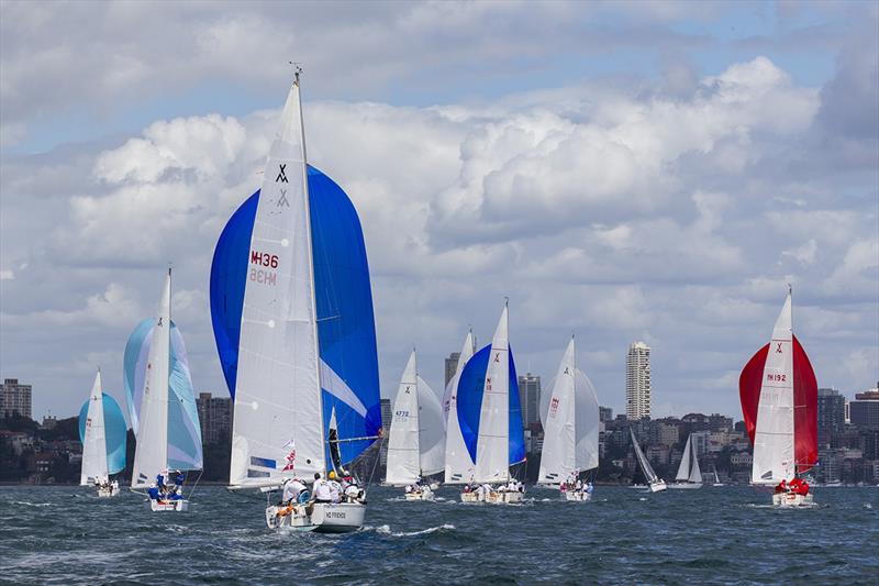 Adams 10s taking no prisoners - Sydney Harbour Regatta - photo © Andrea Francolini