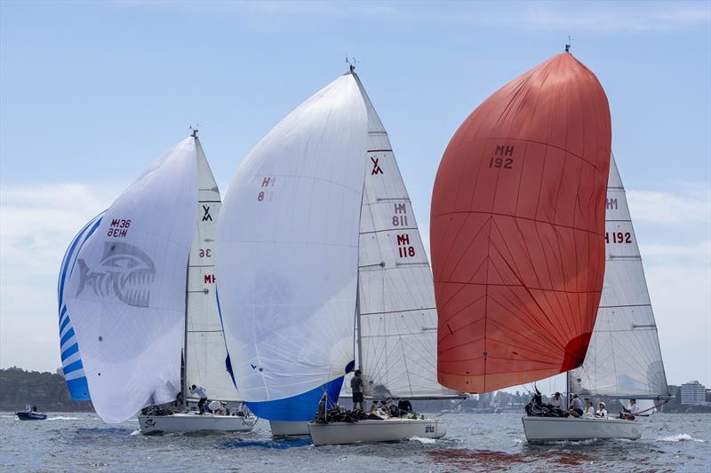 Adams 10s - Artemis with red kite - 2024 Nautilus Marine Insurance Sydney Harbour Regatta photo copyright Andrea Francolini / MHYC taken at Middle Harbour Yacht Club and featuring the Adams 10 class