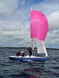 Osprey during the 2023 Ajax Nationals at St. Mawes © Lindsey Thomas