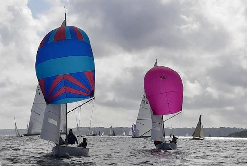 Polly Oliver and Troy - Ajax class at Falmouth Week 2021 - photo © Lindsey Thomas