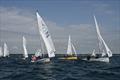 2025 Albacore Ontario Championship at the Buffalo Canoe Club © Linda Kramer & Jennifer Forkes