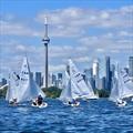 2025 Albacore Canadian Championship © Jennifer Forkes & Michele Parratt